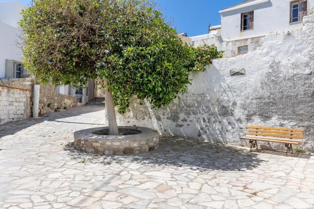Naxos City Avgerinosヴィラ エクステリア 写真